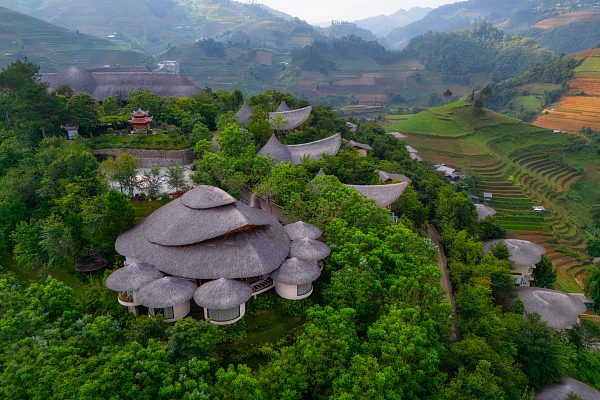 Garrya Mu Cang Chai
